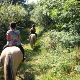 Horse and Pony Trekking